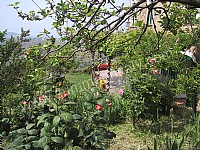 Image 38 for Villa Trotta in Perdifumo