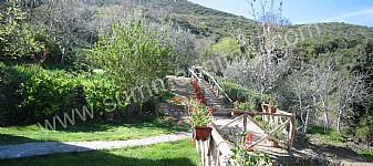 Image 34 for Villa Trotta in Perdifumo
