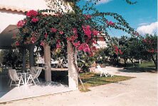 Image 6 for Casa Rosina in Ascea Marina