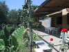 Clicca qui per dettagli su Villino della Nonna