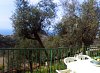Click for details on Villa Franca