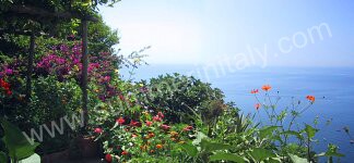 Image 5 for Villino delle Orchidee in Positano