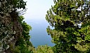 Terrace 3