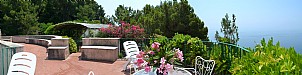 Terrace 2