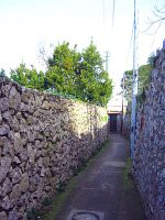 Image 25 for Villa Roberta A in Capri