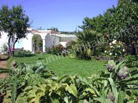 Image 13 for Villa Roberta A in Capri