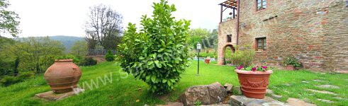 Image 18 for Casa Genziana A in Rigomagno, Siena