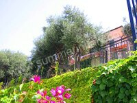 Image 7 for Villa degli Ulivi C in Santa Maria di Castellabate