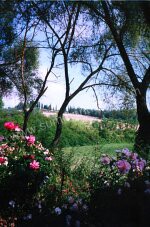 Image 5 for Casa Elga in San Gimignano, Siena