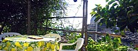 Terrace 1