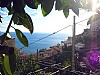 Terrace 1