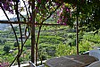 Terrace 1