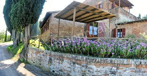 Image 5 for Casa Giobatta A in Asciano, Siena