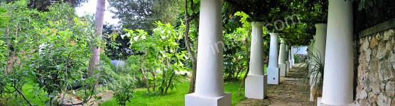 Image 18 for Villa Dorotea A in Capri