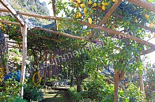 Image 12 for Villa Trofimena in Minori