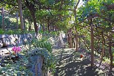 Image 14 for Villa Trofimena in Minori
