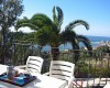 Click for details on Villa Palmira B