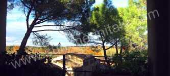 Image 13 for Villa Saveria I in Colle di Val d'Elsa, Siena