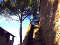 Image 14 for Villa Saveria I in Colle di Val d'Elsa, Siena