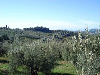 Image 25 for Villa Gentile in San Casciano in Val di Pesa, Florence