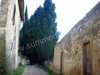 Image 27 for Villa Gentile in San Casciano in Val di Pesa, Florence