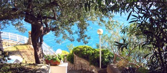 Click for more pictures of Villa Geraldina