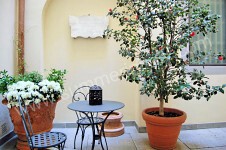 Image 6 for Appartamento Conti Guerrini D in Florence