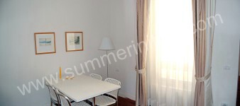 Image 4 for Appartamento Conti Guerrini B in Florence