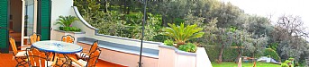 Terrace 2