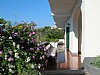 Terrace 1