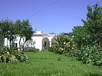 Click for more pictures of Villa Roberta B