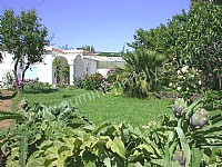 Image 12 for Villa Roberta B in Capri