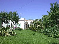 Image 3 for Villa Roberta B in Capri