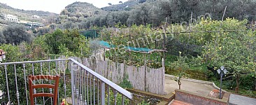 Image 14 for Villa Rosamaria B in Marina di Puolo