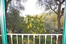 Click for more pictures of Villa Rosamaria D