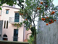 Click for more pictures of Villa Rosamaria E