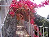 Terrace 1