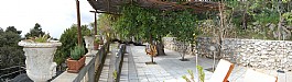 Terrace 1