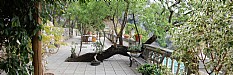 Terrace 1