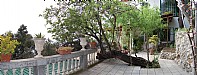 Terrace 1