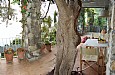 Terrace 1