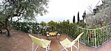 Terrace 2