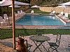 Click for details on Villa Tea