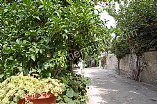 Image 10 for Villa Chiaretta E in Ischia