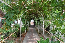 Image 11 for Villa Chiaretta E in Ischia