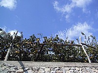 Image 12 for Casa Marina in Praiano