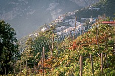 Image 22 for Villa Mirabella C in Nocelle