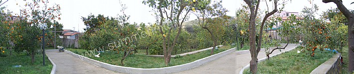 Image 8 for Villa Rosamaria A in Marina di Puolo
