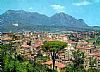 Avellino