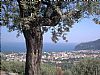 Piano di Sorrento